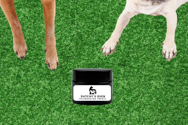 Nose and Paw Balm for Dogs and Cats