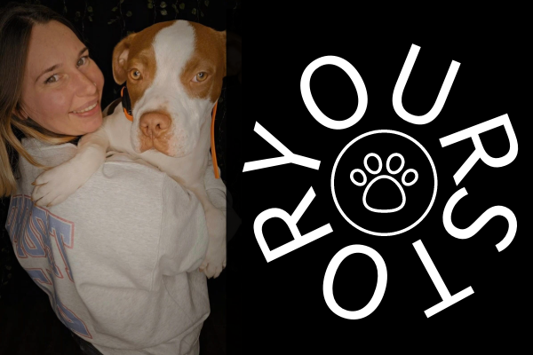 The Journey of Dutchy's Oven Tailwagging Treats