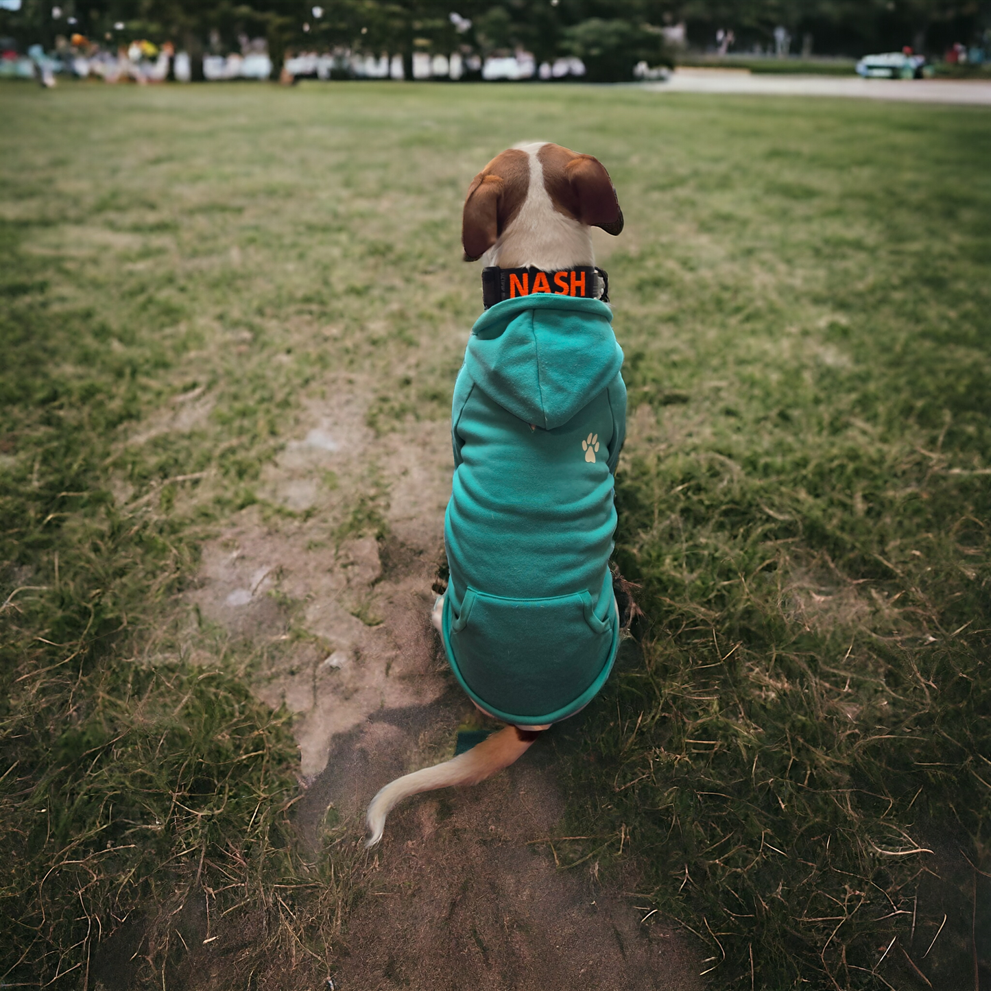 Dog Paw Hoodie